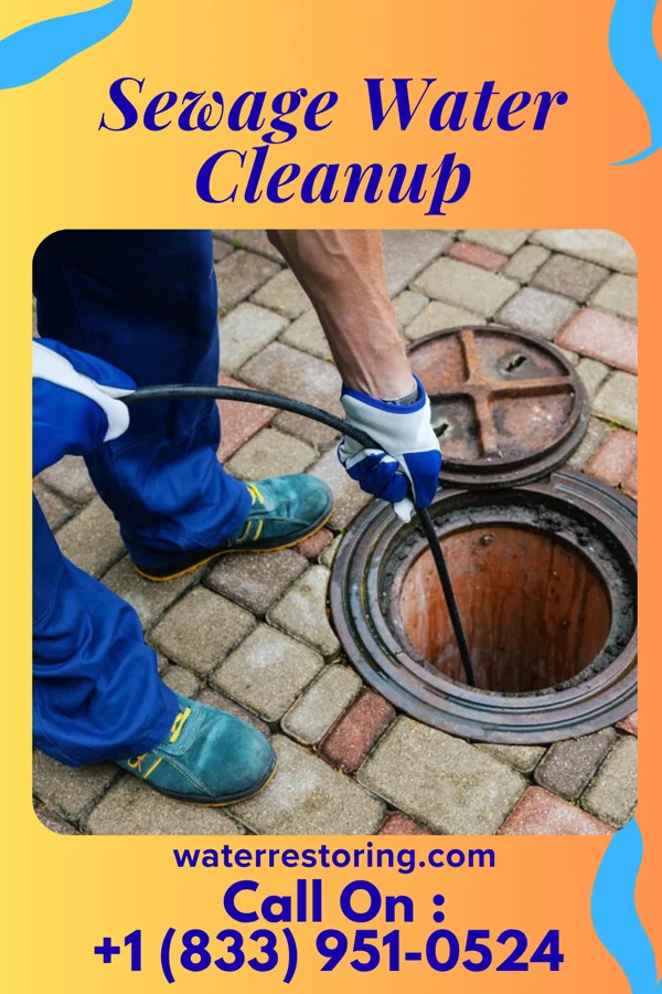 Sewage Water Cleanup in Rockfish, NC